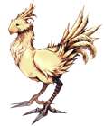 Chocobo