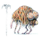 Antica Early Concept