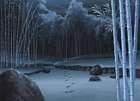 Bamboo Forest