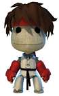 Ryu Sackboy