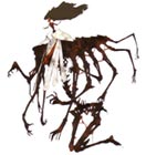 Izanami Okami