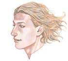 Tolten - Face