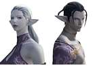 Duskwight Elezen Faces
