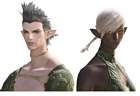 Wildwood Elezen Faces