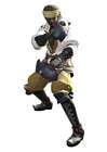 Hyur Pugilist
