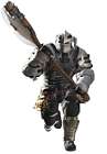 Roegadyn Marauder