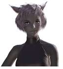 Keepers of the Moon Miqo'te Face