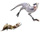 Raptor