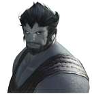Seawolves Roegadyn Face