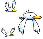 Albatross