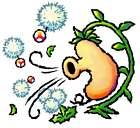 Ragweed