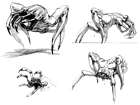 Paramite Concept