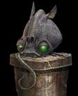 Rat