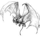 Dire Bat