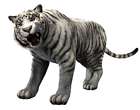 White Tiger