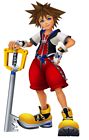 Sora