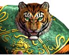Long, Tiger Portrait