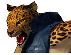 Shina, Leopard Portrait