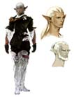 Elezen Male