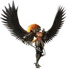 Dinivas the Black Knight