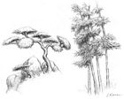 Flora Concept