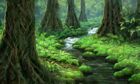 Forest Stream