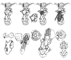 Nemesis Sketches