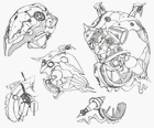 Xord Sketches