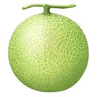 Melon