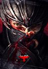 Ninja Gaiden 3 Promotional Art