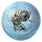 Membrane