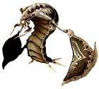 Pillbug