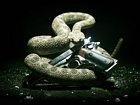 Rattlesnake & Silverballer Pistol