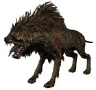 Warg
