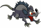 Moon Rat