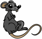 Small Rat