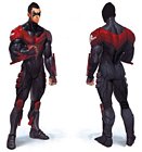 Nightwing Concept