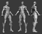 Nightwing Model