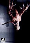 Licker Promo