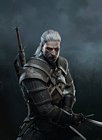 Geralt Offensive Stance
