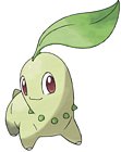 Chikorita