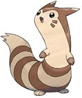 Furret