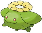 Skiploom