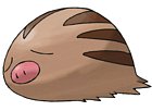Swinub