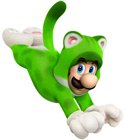 Cat Luigi