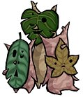 Irch, Oakin, & Rown
