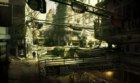 Dead City