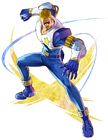 Captain Commando (Captain Commando)
