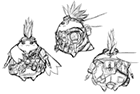 Tora Concept