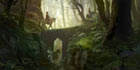 Forest Patrol